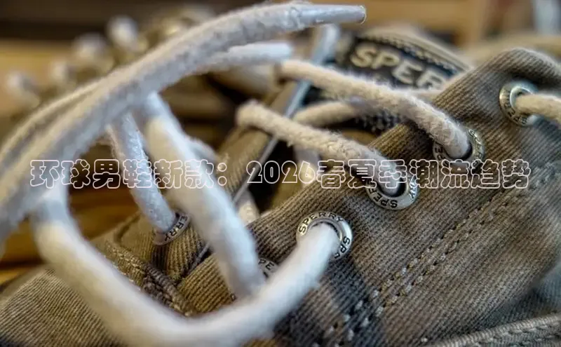 鲸鱼体育直播官网